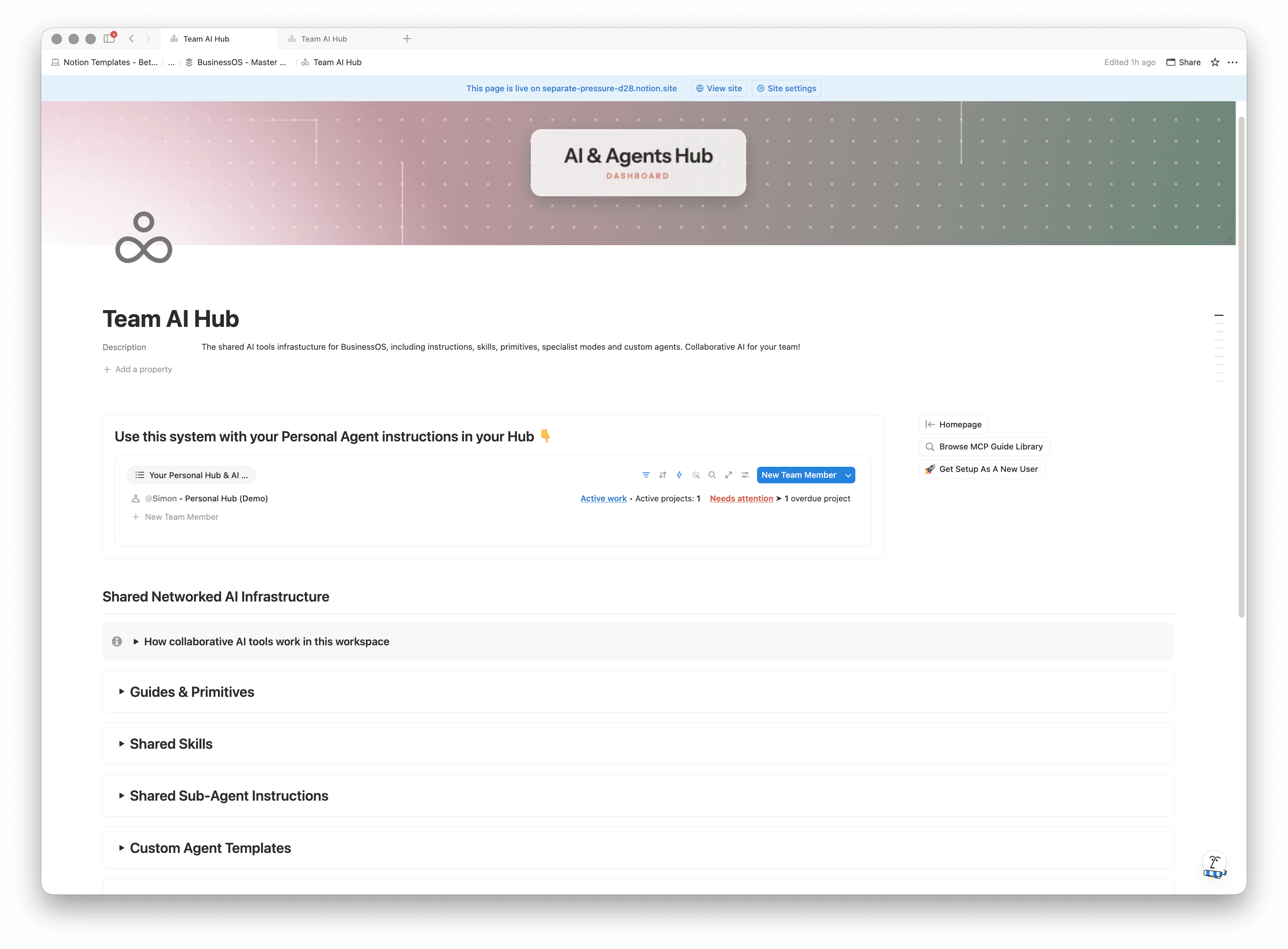The Team AI Hub in Notion, listing shared networked AI infrastructure: guides and primitives, shared skills, shared sub-agent instructions and custom agent templates.